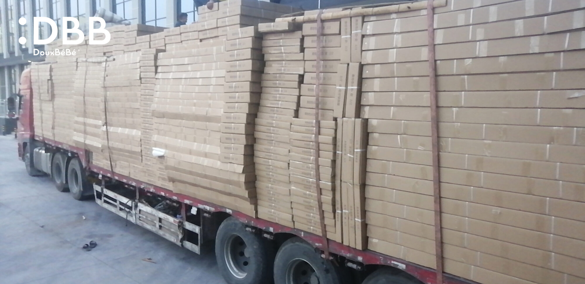 1668482497 Shipment from Jiangdong Plant4 scaled